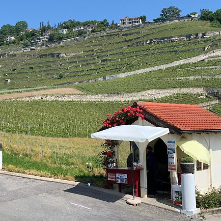 La Gremillette Gourmande Lavaux Apartamento Rivaz Exterior foto