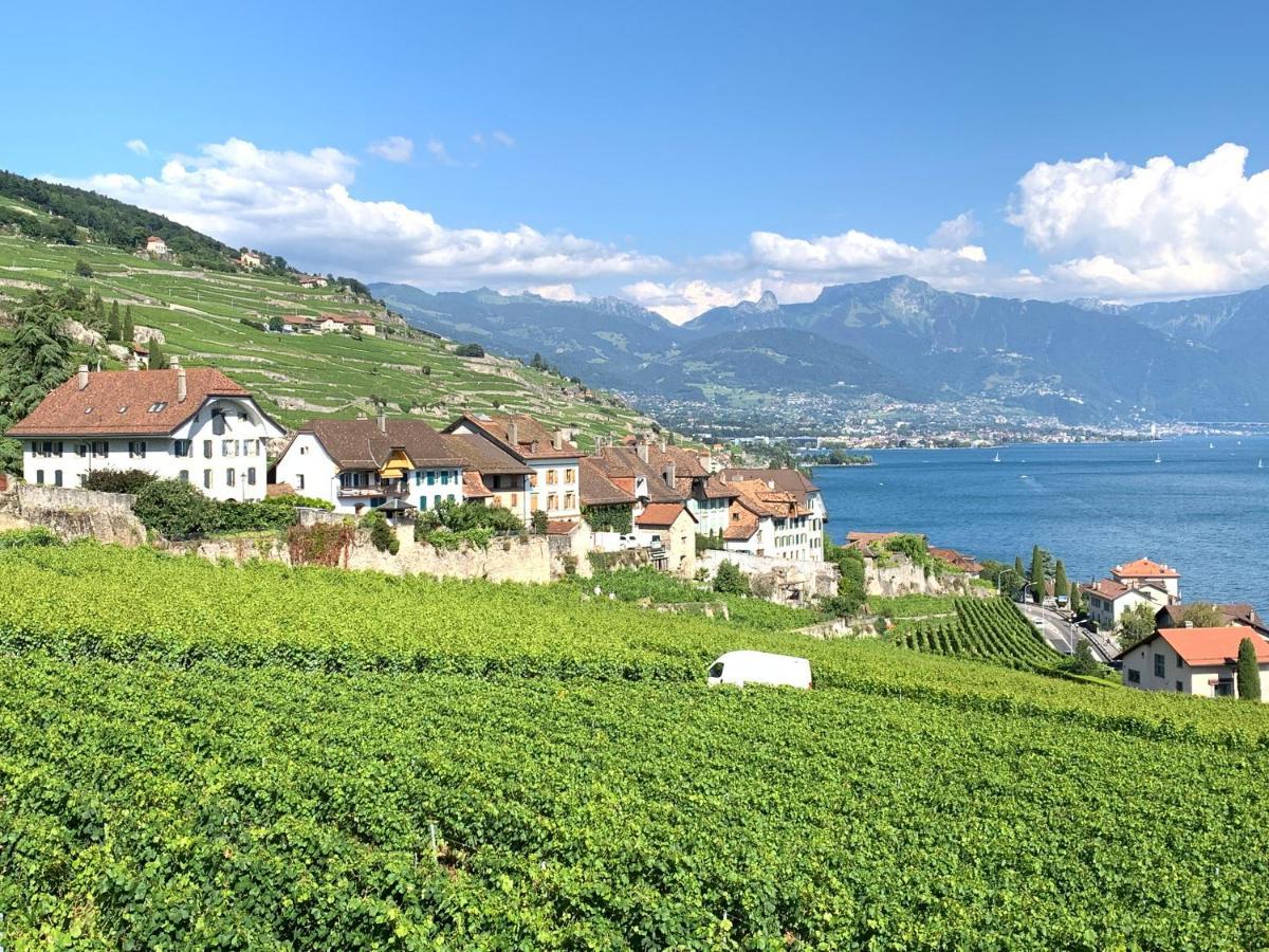 La Gremillette Gourmande Lavaux Apartamento Rivaz Exterior foto