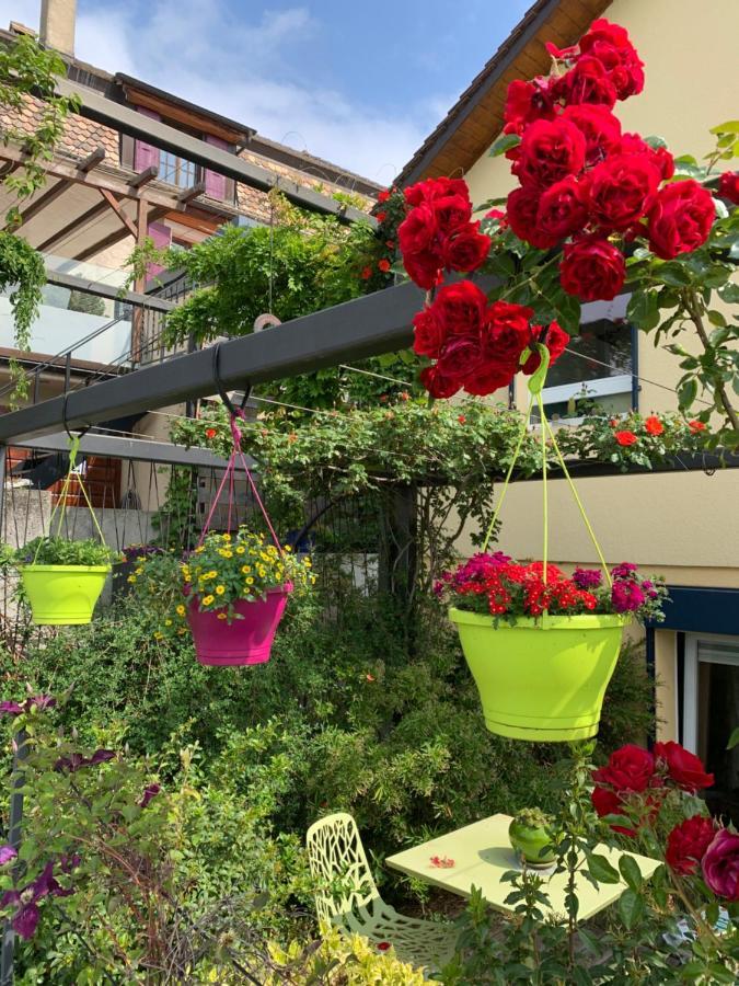 La Gremillette Gourmande Lavaux Apartamento Rivaz Exterior foto