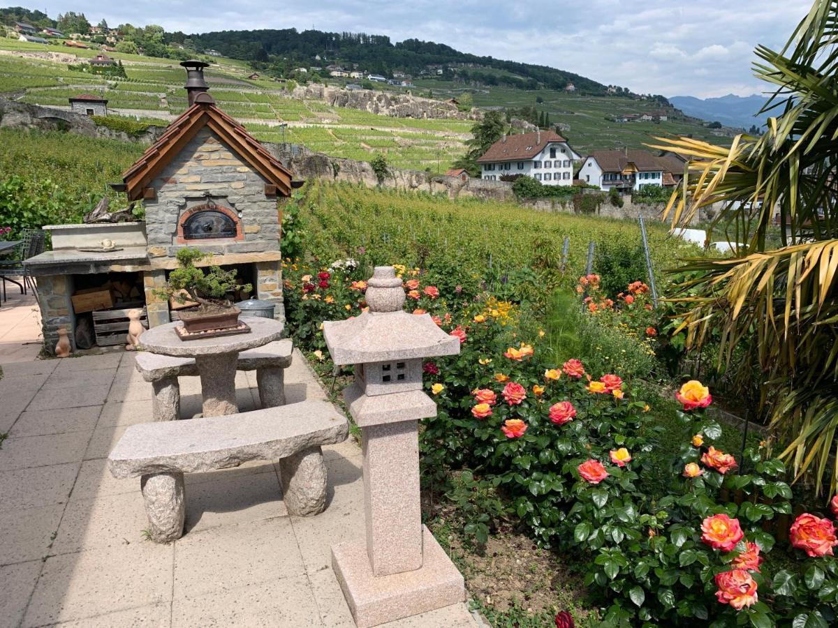 La Gremillette Gourmande Lavaux Apartamento Rivaz Exterior foto