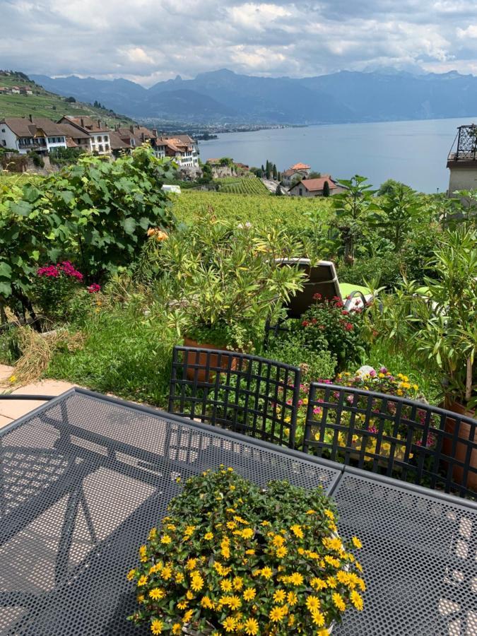 La Gremillette Gourmande Lavaux Apartamento Rivaz Exterior foto