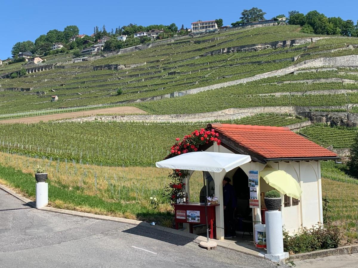 La Gremillette Gourmande Lavaux Apartamento Rivaz Exterior foto