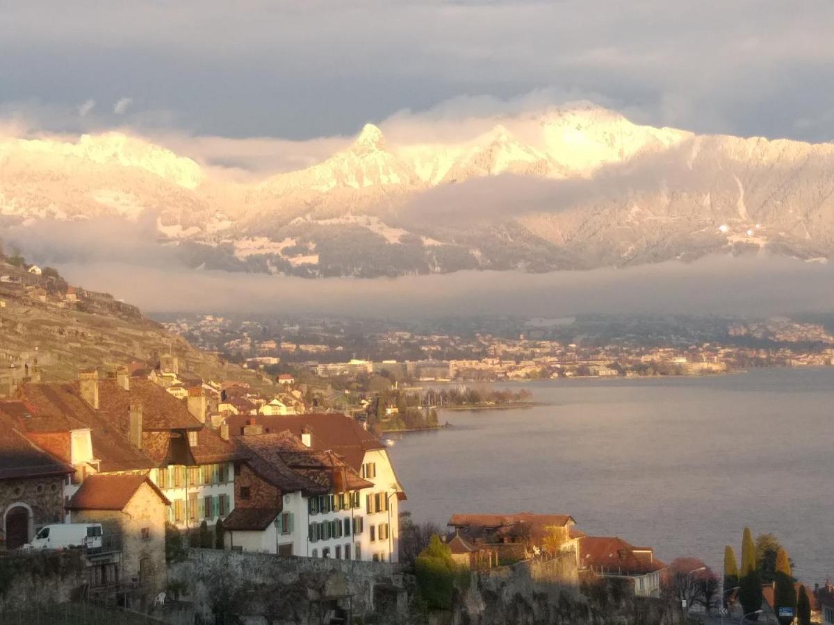 La Gremillette Gourmande Lavaux Apartamento Rivaz Exterior foto