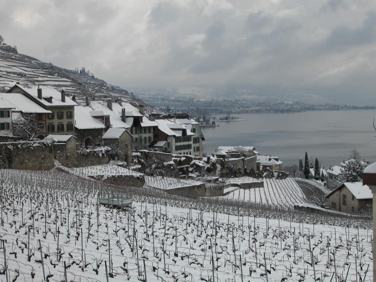 La Gremillette Gourmande Lavaux Apartamento Rivaz Exterior foto